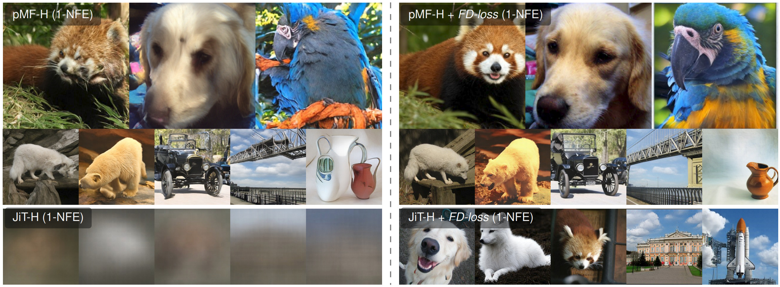 One-step ImageNet samples from a pixel MeanFlow model (top) and a JiT diffusion model (bottom), before (left) and after (right) FD-loss fine-tuning. Taken from the FD-loss paper.
